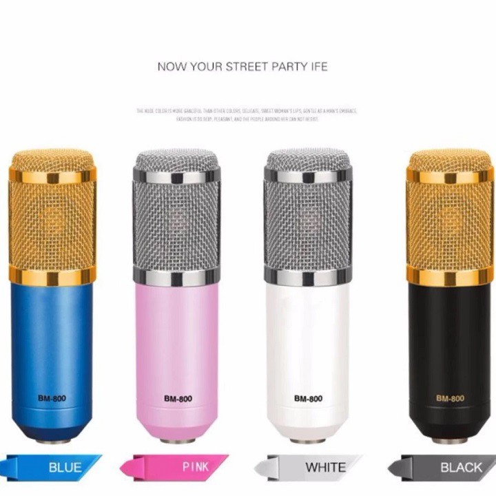 MICRO THU ÂM CHUYÊN NGHIỆP BM 800