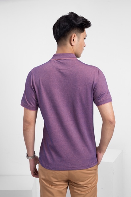 Áo Polo aristino Aps029s8 Trẻ Trung Sang Trọng còn S