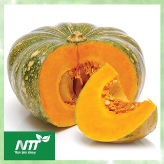 Hạt giống Bí đỏ TN - 01