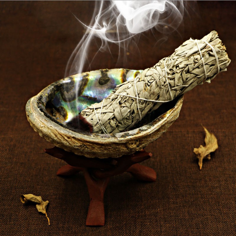 22cm Bó lá xô thơm (white sage) nhiều kích thước giá siêu tốt