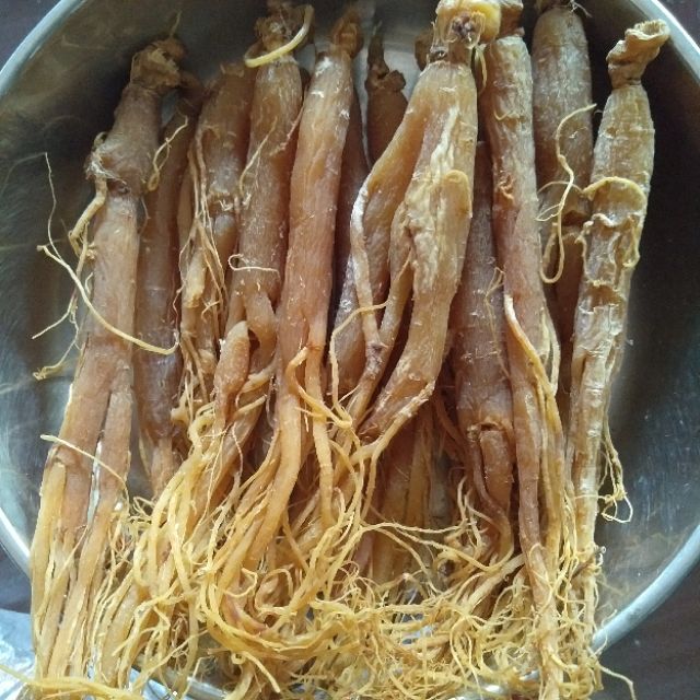 100gr củ nhân sâm khô ,hong sam , sam rau