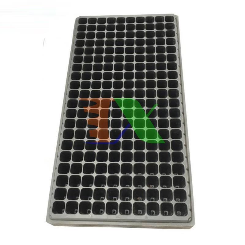 Hộp 150 khay ươm cây (Dày 1mm, nặng 120g), khay ươm hạt, vỉ ươm rau (200 lỗ)