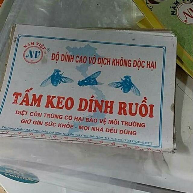 COMBO 10 TẤM KEO DÍNH RUỒI