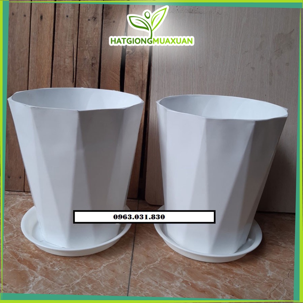 Set 10 chậu kim cương đk 30cm cao 40cm kèm lót đĩa