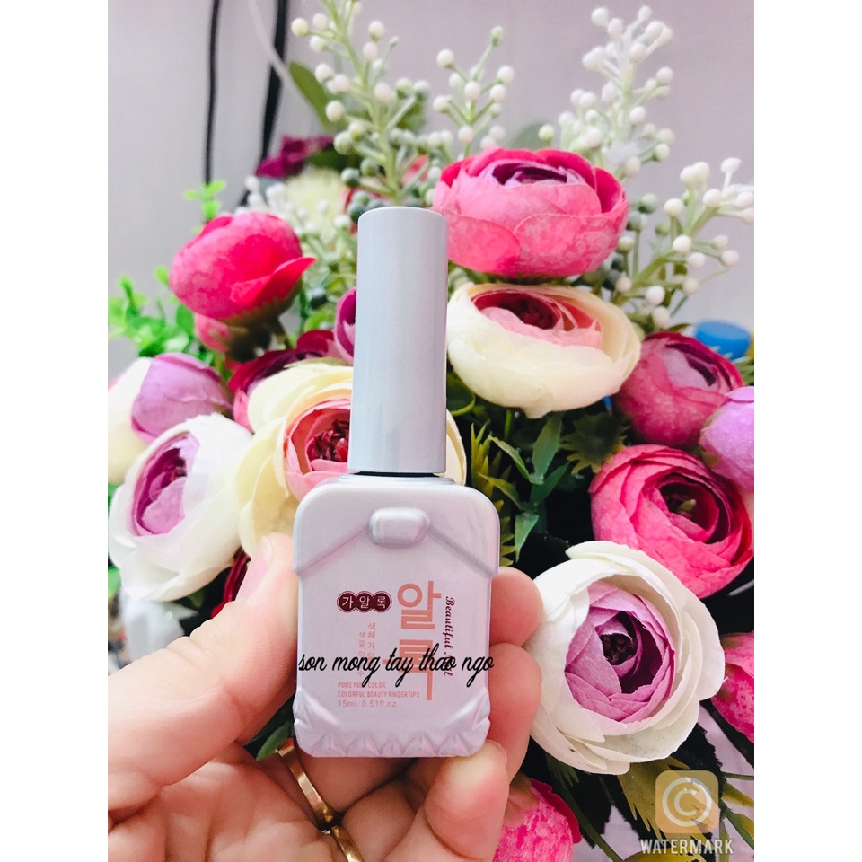 1 Chai mắt mèo kim cương bạc dành cho Nail