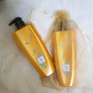 ĐỒ DÙNG THÚ CƯNG - SỮA TẮM SHOW QUEEN