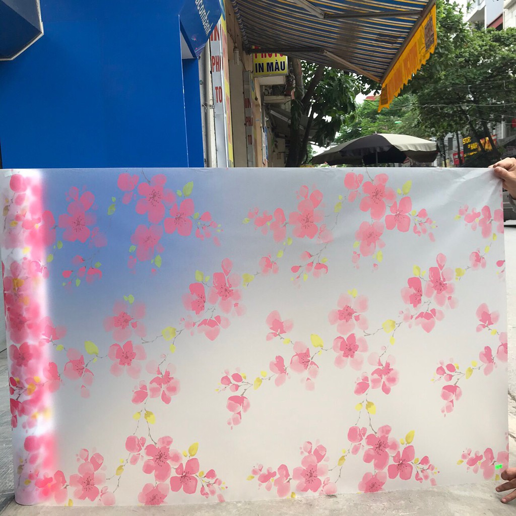 GIẤY DÁN KÍNH HOA ĐÀO MÃ H31