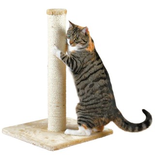 Trụ cào móng cho mèo yêu