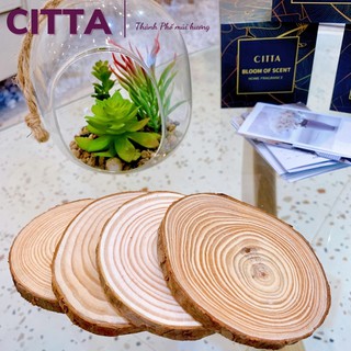 Đế Gỗ Cây Thông Đế Lót Nến Thơm, Trang Trí Nhà Cửa 8 -9 cm