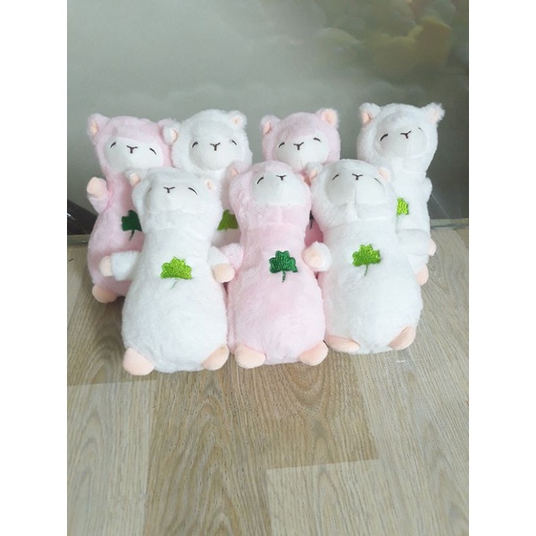 Gấu bông cừu