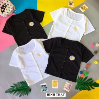 Áo croptop phối nút thêu hoa cúc