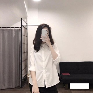 Áo sơ mi trắng không nhăn không nhàu đủ size