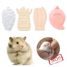 Đá mài răng cho hamster