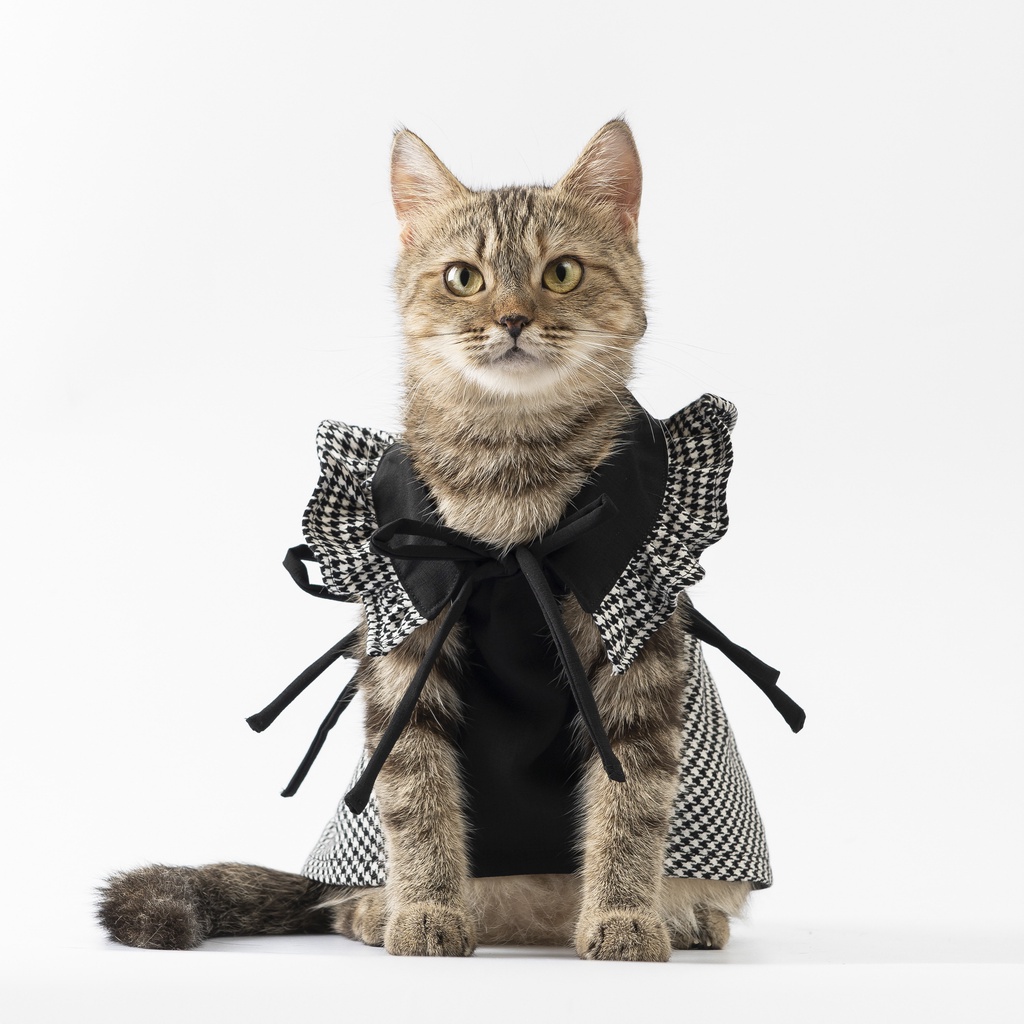 Váy kẻ caro hàng hiệu cho thú cưng - SaboCoco - B&W3