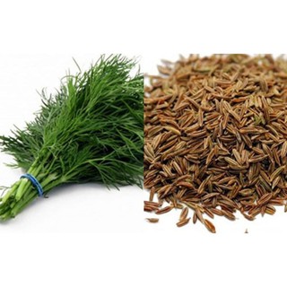 Sỉ toàn quốc hạt thì là thìa là 100g - 200g - 300g