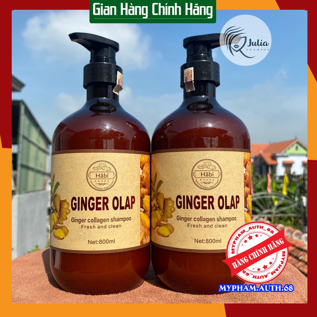 Cặp dầu gội xả gừng tươi Ginger olap dành cho tóc gãy rụng 800ml