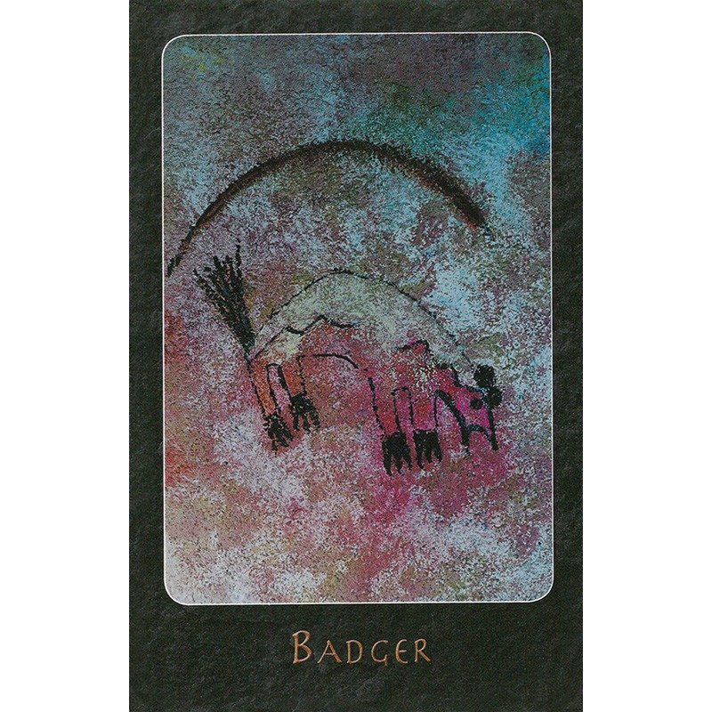 Bộ Bài A Shaman Oracle (Mystic House Tarot Shop) - Bài Gốc Authentic Chính Hãng 100%