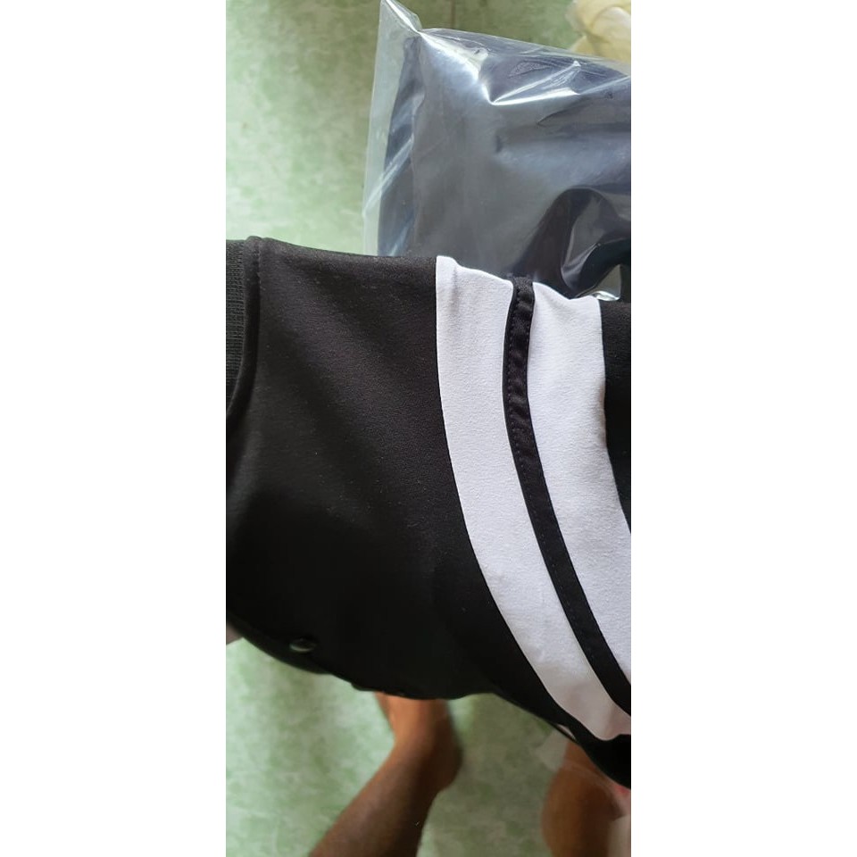 [Cường Store] BomBer Teddy Ảnh THẬT SHOP CHỤP | BigBuy360 - bigbuy360.vn