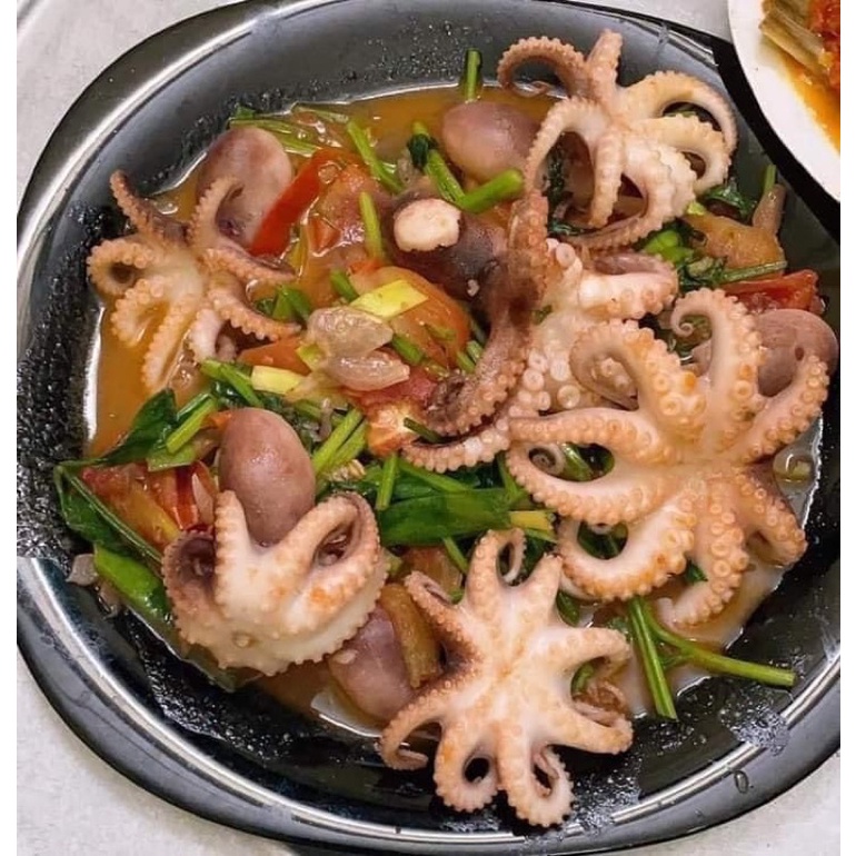 BẠCH TUỘC SỮA