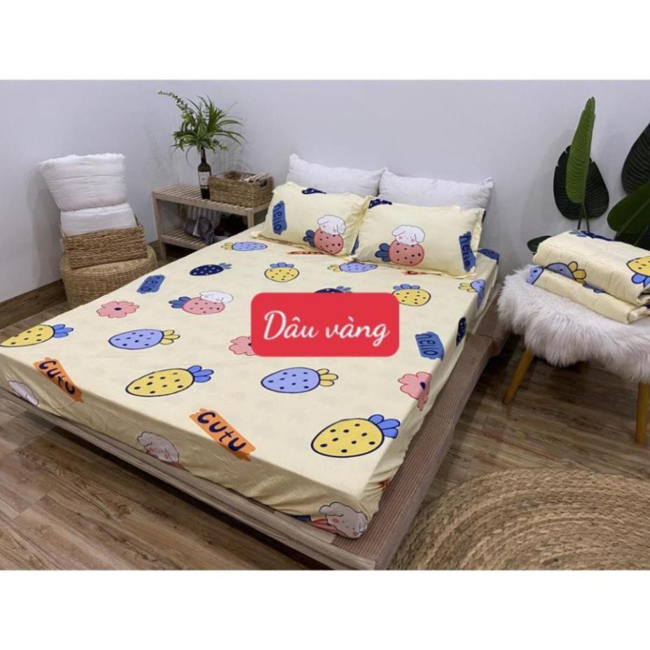 Bộ Ga Kèm 2 Vỏ Gối Cotton Poly HCM,1m5x2m,1m6x2m,có chọn mẫu