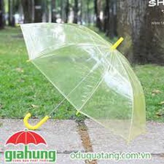 Ô Trong Suốt Thời Trang