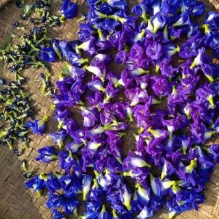 Phân lẻ 10g hoa đậu biếc khô, có đài hoa bị vụn ít. Date 2021.