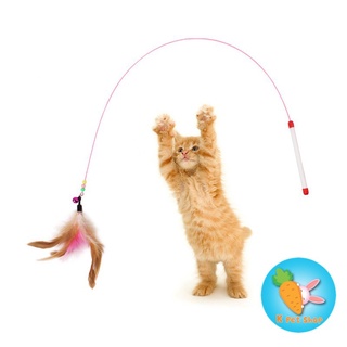 Đồ chơi cho mèo 🐱 Cần câu mèo 🐱
