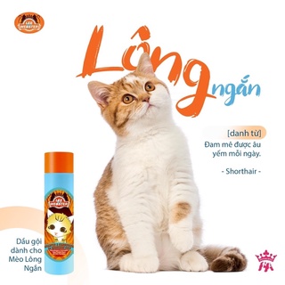 Dầu gội và xả cho mèo Lee Webster 280ml