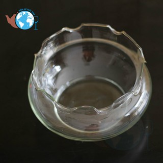 [HCM]B16-HỒ CÁ CHẬU CÂY THỦY TINH BÈO LÙN D15CM X 8CM