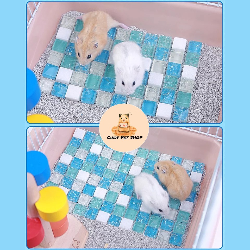 Thảm đá tản nhiệt mát mẻ cho Hamster, Bọ, Gerbil, Nhím, Dumbo Rat, Sóc Bắc Mỹ...