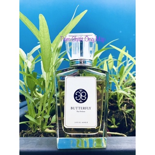 (Chiết Ông Mập) Mẫu thử Butterfly Mango Leaf