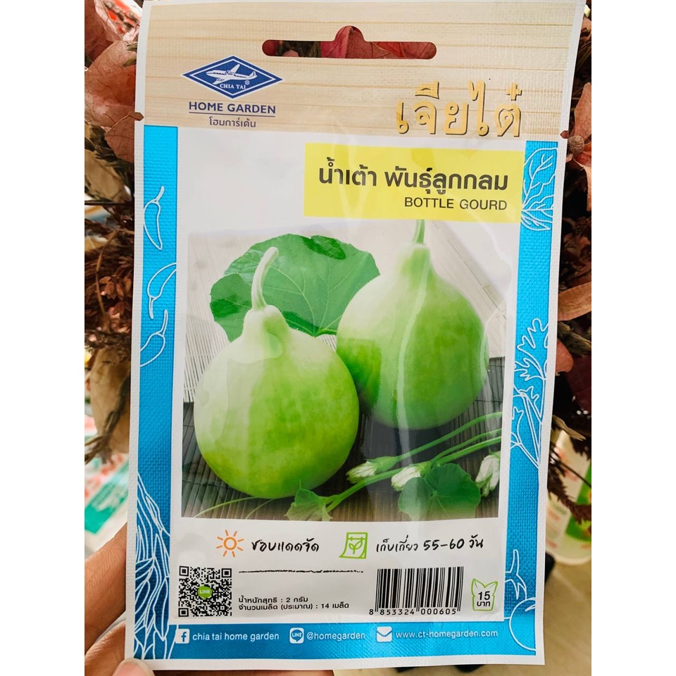 Hạt giống bầu tròn Thái Lan