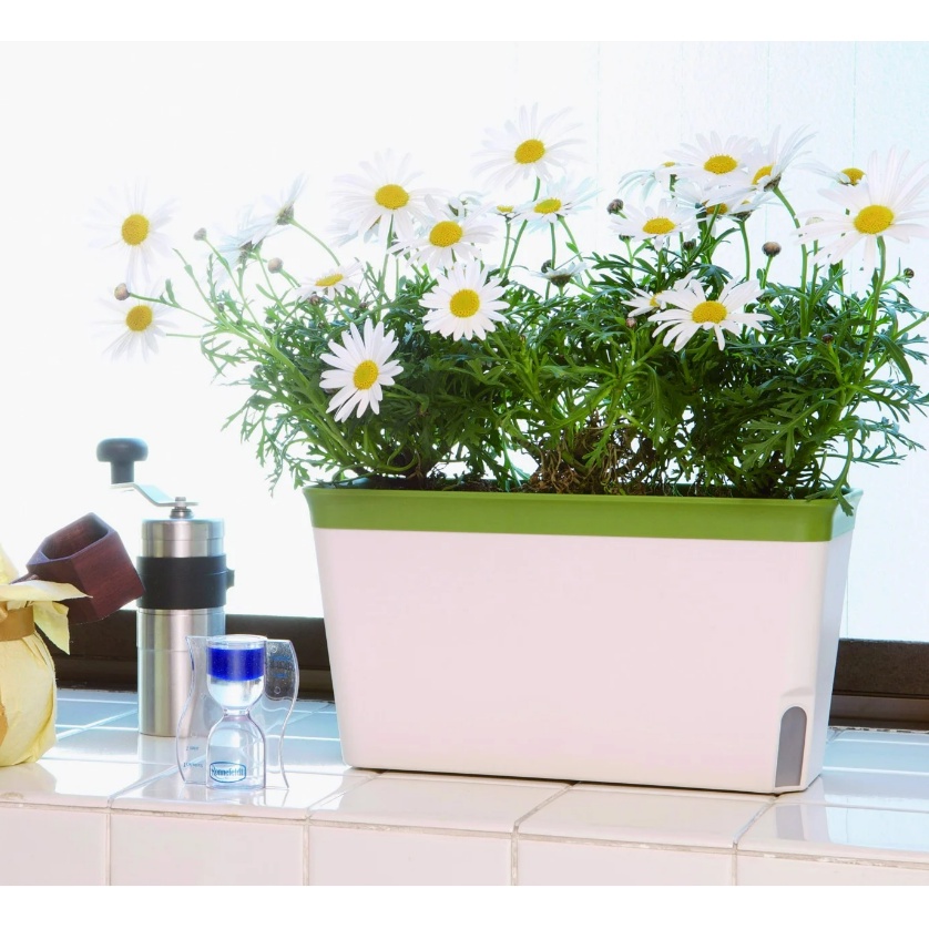 Khay trồng cây Richell tự cấp nước là sản phẩm nội thất thông minh đến từ Nhật Bản