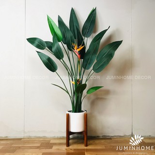 Chậu gốm (chậu sứ), chậu xi măng, kệ gỗ để chậu cây Decor trang trí trồng Cây giả
