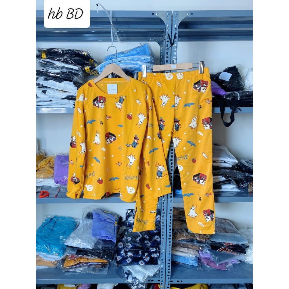 Bộ Ngủ Dài Tay Hoạt Hình Hót 2020 | BigBuy360 - bigbuy360.vn