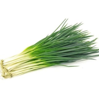 Hạt giống cây hành - độ nảy mầm cao
