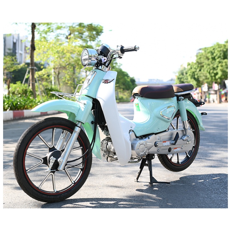 Xe số 50cc Cub 81 Ally New - vành đúc - 2021