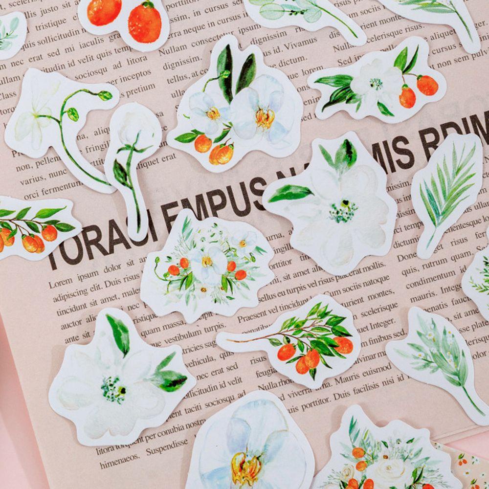 AUGUSTINA Giấy Dán Trang Trí Hình Hoa Hồng Xinh Xắn