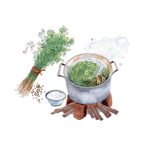 Sữa tắm tinh dầu Mùi già - Sữa tắm Tết - Sữa tắm không hương liệu