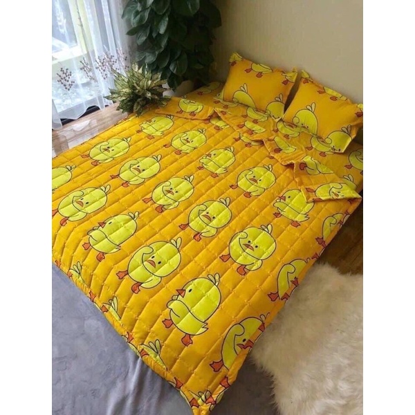 Bộ Chăn Ga Gối Chăn HÈ 5 Món Coton Poly- Đủ Kích Thước : 1m6/1m8/2m2