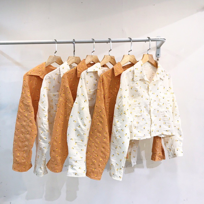 Sơ mi croptop tay dài