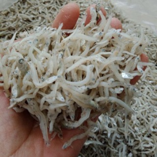 [500g] Cá Cơm Mờm Sữa Loại 1 | Cá Cơm