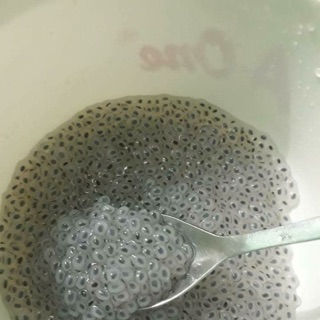 Hạt é 150k/kg( tặng 40g mủ trộm)