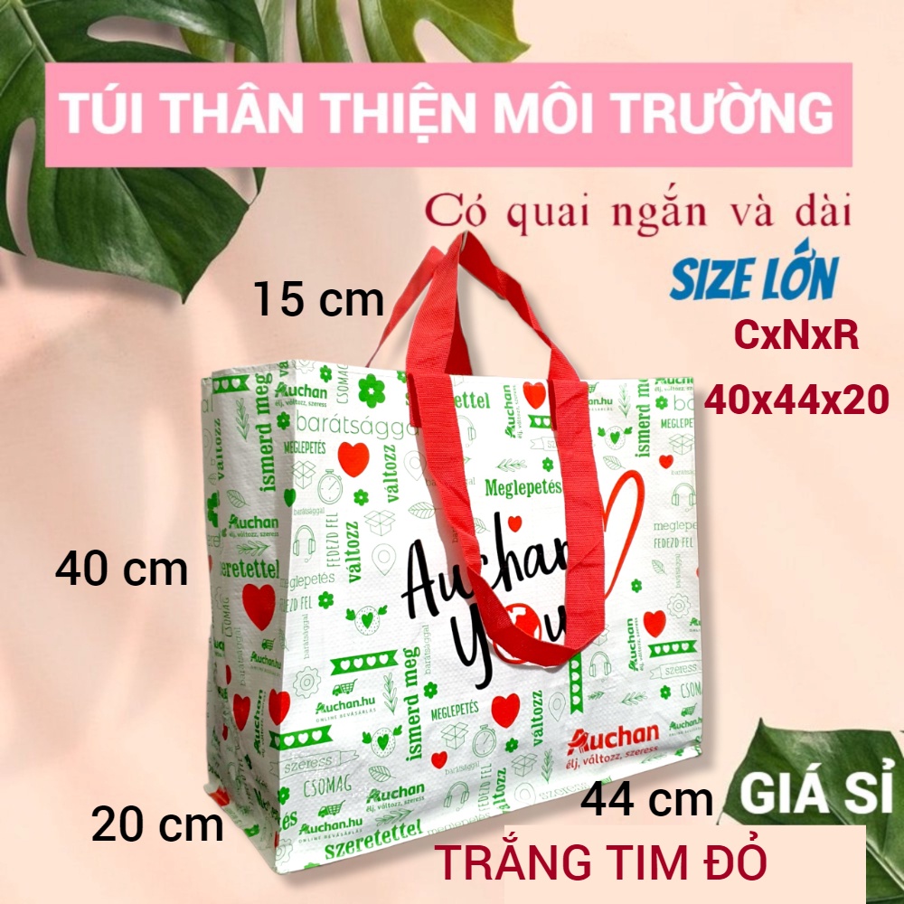 HAI QUAI - TÚI SIÊU THỊ, THÂN THIỆN MÔI TRƯỜNG, ECO SHOPPING BAG, BỀN, ĐỰNG ĐỒ NẶNG, SIZE LỚN