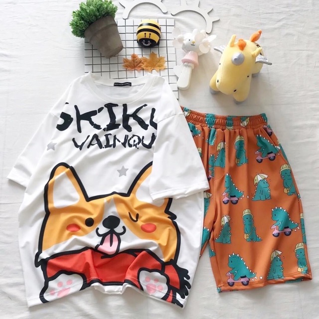 Áo Thun Tay Lở 3D  Phản Quang Chó Corgi/Overtee 3D Ảnh Thật