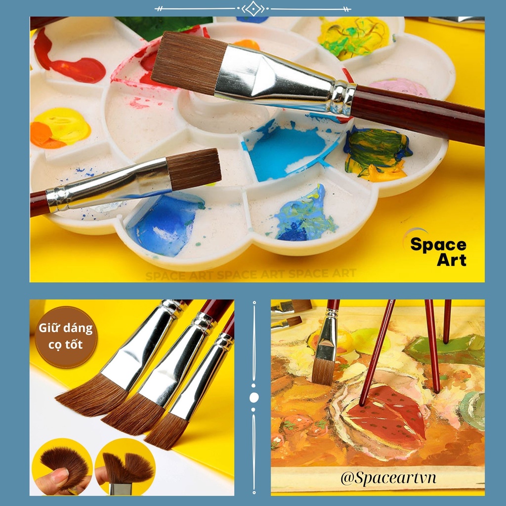 Cọ vẽ Bản ngang lông chồn Taipei SP102 vẽ màu nước,acrylic, màu bột