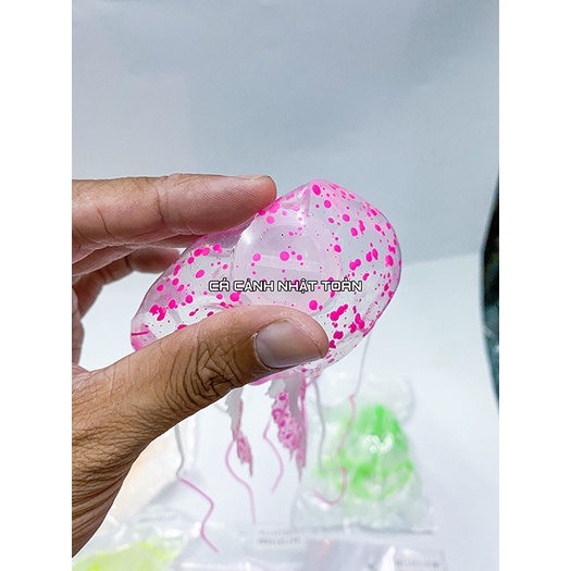 SỨA CAO SU DẠ QUANG ĐỦ MÀU TRANG TRÍ BỂ CÁ CẢNH