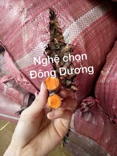 tinh bột nghệ Đông Dương