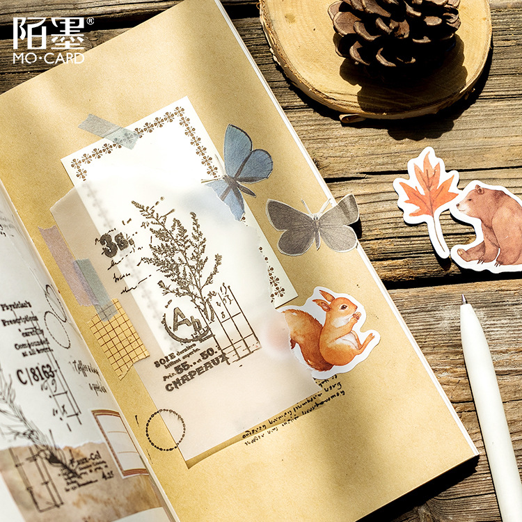 Hộp 46 sticker chủ đề cánh rừng mùa Thu xinh xắn trang trí nhật ký DIY đẹp mắt Box Sticker ST431