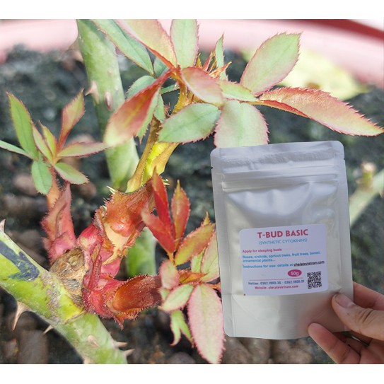 T-BUD BASIC cytokinin synthetic (Hóa chất cơ bản kích chồi cây) gói 25g